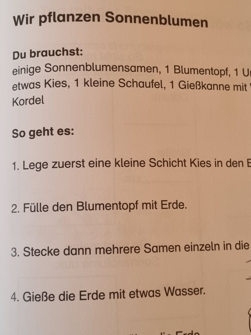 Riviste & Magazine: Themenheft Sonnenblume, 1./2. Klasse – Usato da Weite venduto da Nur63 6