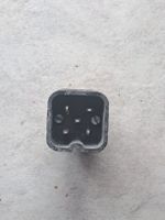 J15 /5 Stecker 5 Pollig