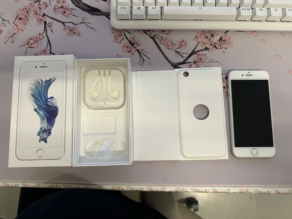 Apple Telefoni cellulari / Smartphones: iPhone 6S – Usato da Uitikon Waldegg venduto da SandrineC02