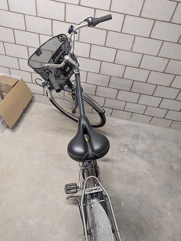 Biciclette: Riemen Damen Velo M – Usato da Sulgen venduto da Retti