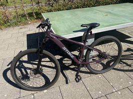 Stoke 26 zoll Violette/Plum colored