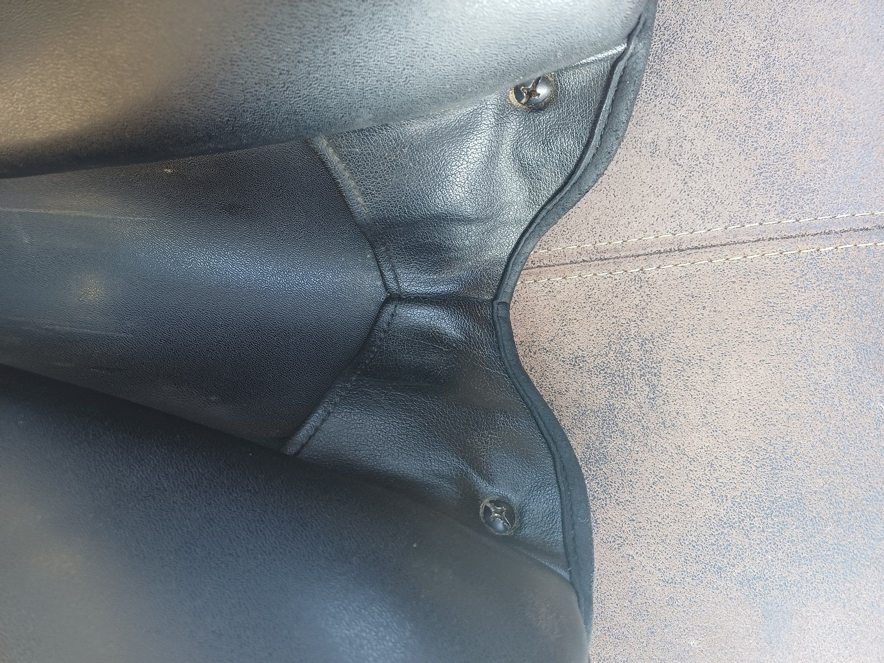 Selles, accessoires: Dressursattel Wintec – D'occasion à Roggliswil par sas_b8c8 5