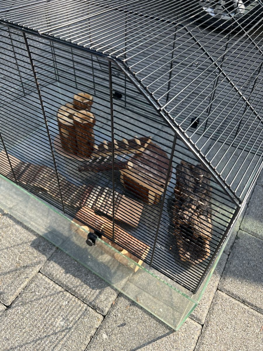 Cages, transport & sécurité: Mäusekäfig – D'occasion à Giffers par ang_pn2x 1