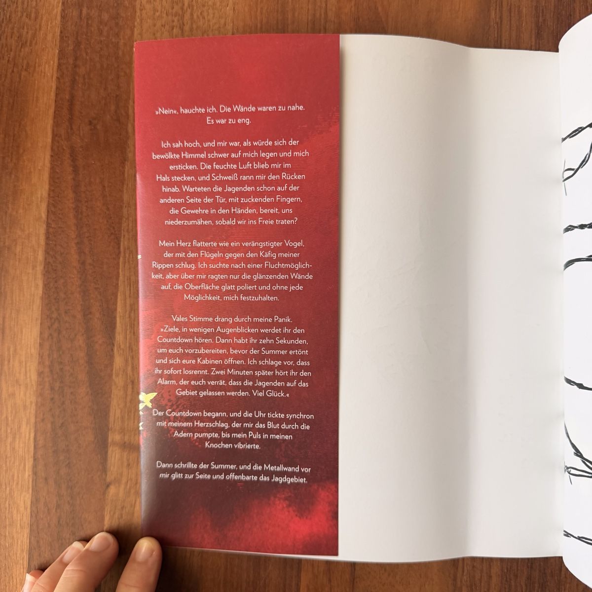 Libri: Brooke Fast - To cage a wild bird – Usato da Solothurn venduto da coexism 2