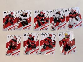 Playoffs Lausanne full base set 
