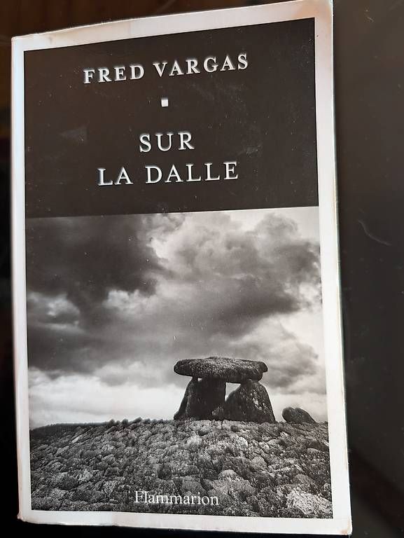 Libri: Sur la dalle Fred Vargas – Usato da La Chaux-de-Fonds venduto da Mcleonita