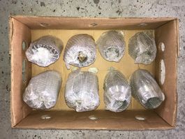 Eine Kiste voller Endrohre 8 Stück und Spotbillig