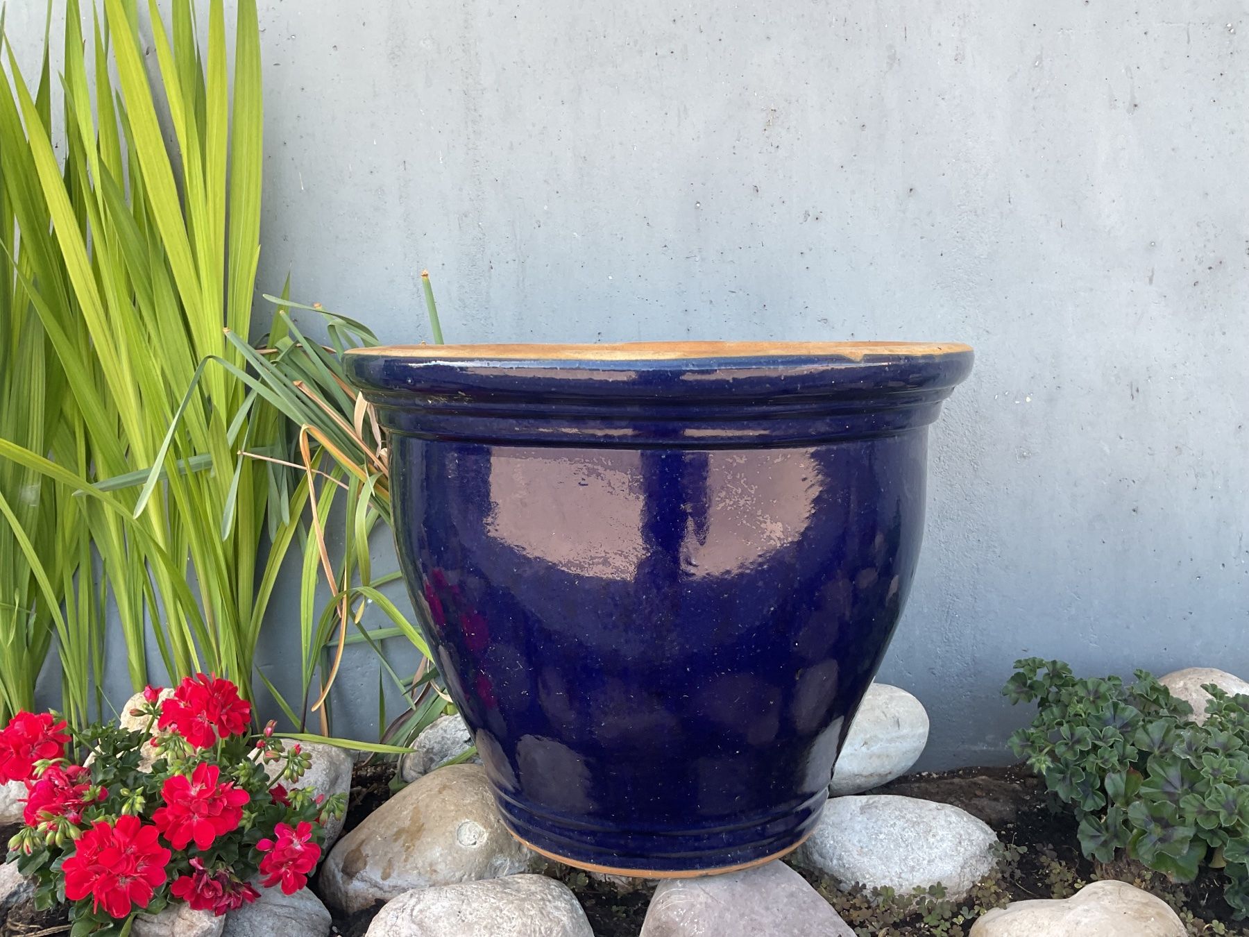 Blumentöpfe: Pot de fleur terracotta – Gebraucht aus Neuchâtel von sta_7qfy 3