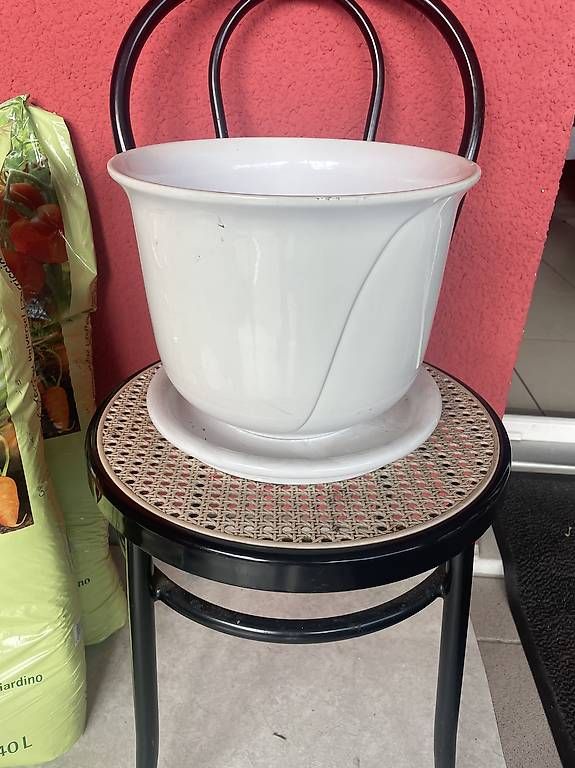 Pots de fleurs: Diverse Töpfe Pflanzentöpfe – D'occasion à Bergdietikon par antovale 3