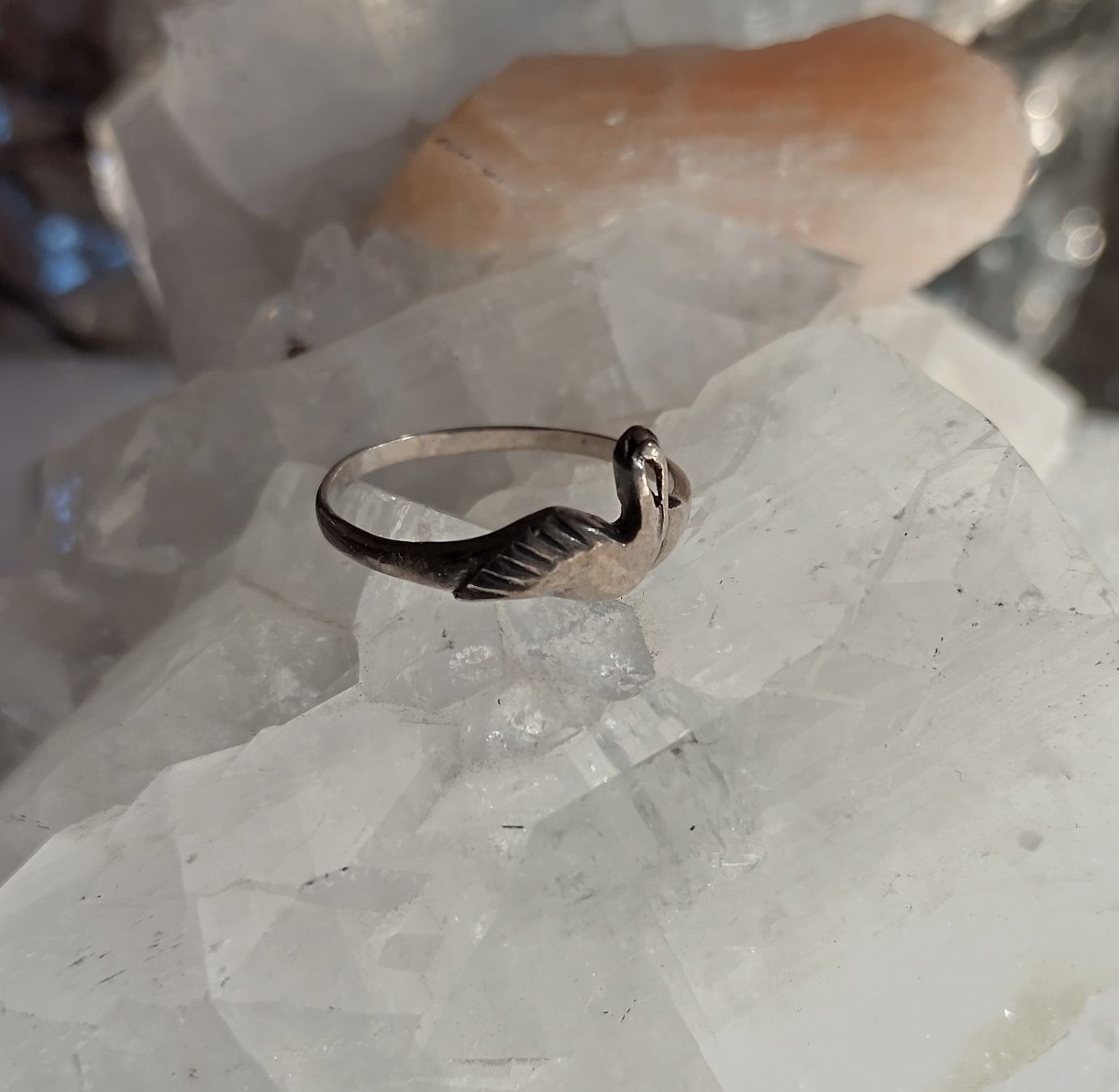 Anelli: SCHWAN VOGEL RING SILBER 925 WASSERVOGEL – Usato da Romanshorn venduto da Stubsinator 4