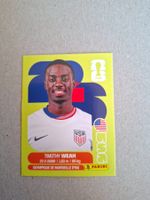 PANINI FIFA 2026 USA 12