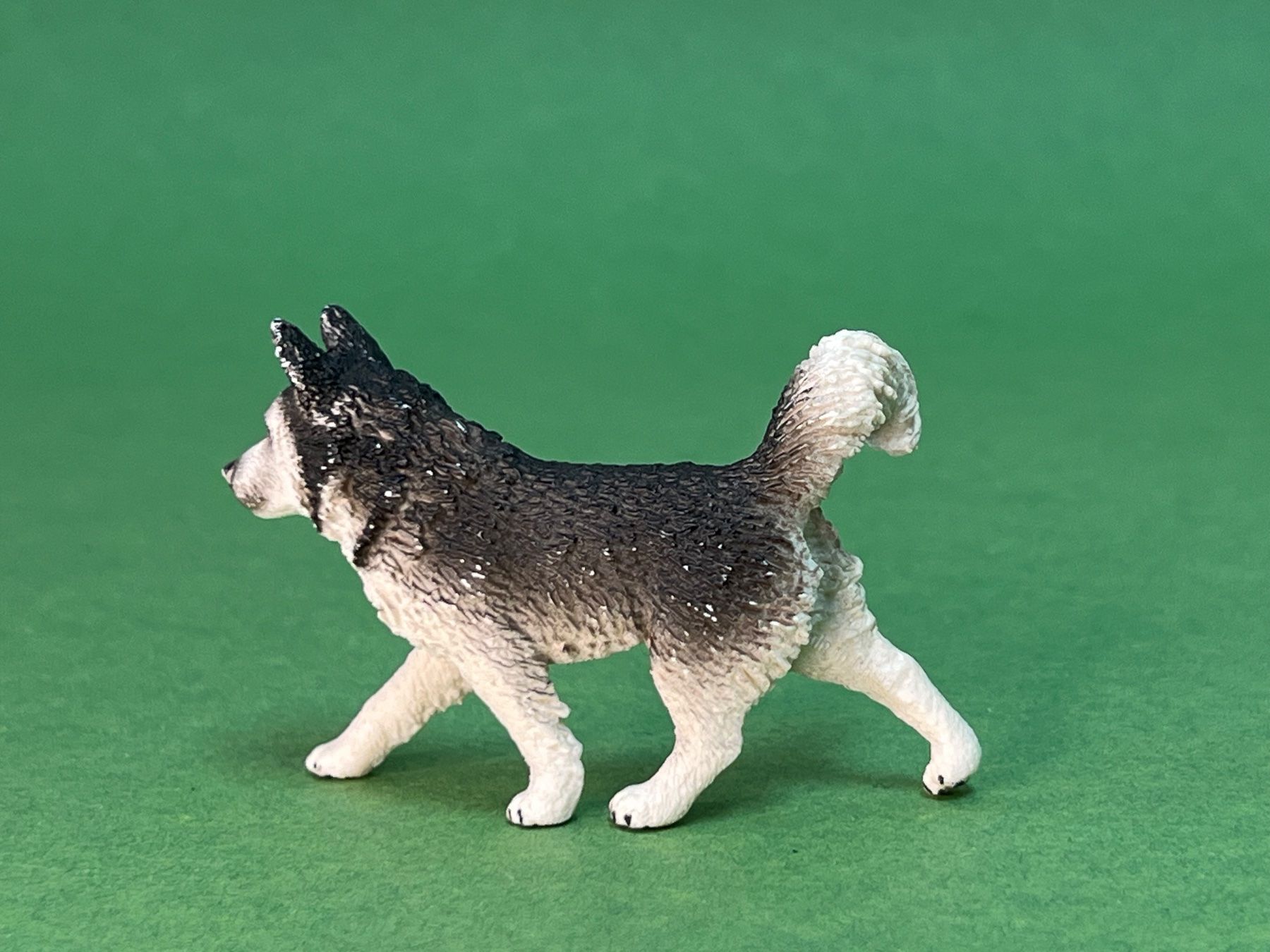 Schleich Statuette: Schleich 16835 Husky Hund – Usato da Ennetbaden venduto da mapa05 3