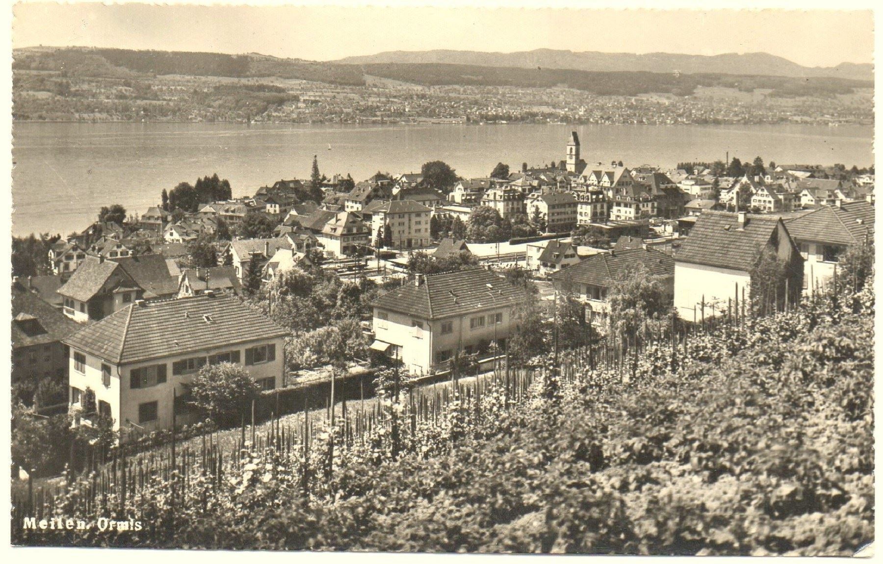Cartoline postali: MEILEN Ormis Rebberge – Usato da Jona venduto da philajona
