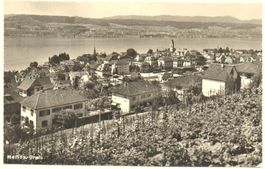 MEILEN Ormis Rebberge