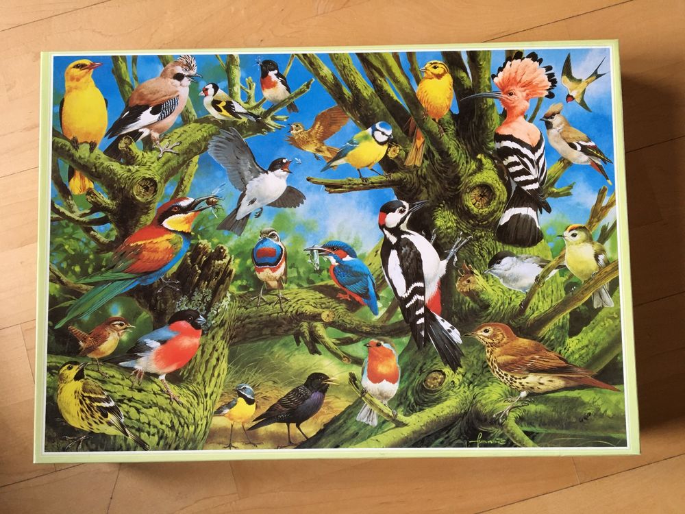Cobblehill Puzzle 1000 Teile – Sommer-Motiv „Adirondack Vögel“ – Hochwertige Qualität Für Puzzle-Fans