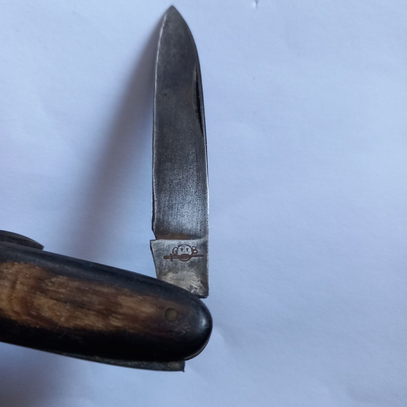 Coltelli tascabile: Altes Sackmesser Hornschale Phanter  – Usato da Rebstein venduto da Zauberwelt14 1