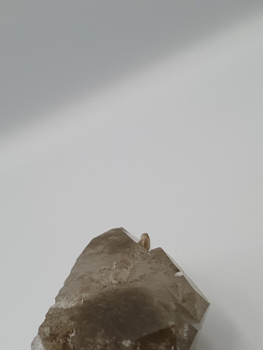 Minerali & Pietre curative: Phantomquarz mit Titanit – Nuovo (secondo la descrizione) da Holderbank SO venduto da swiss-minerals 2