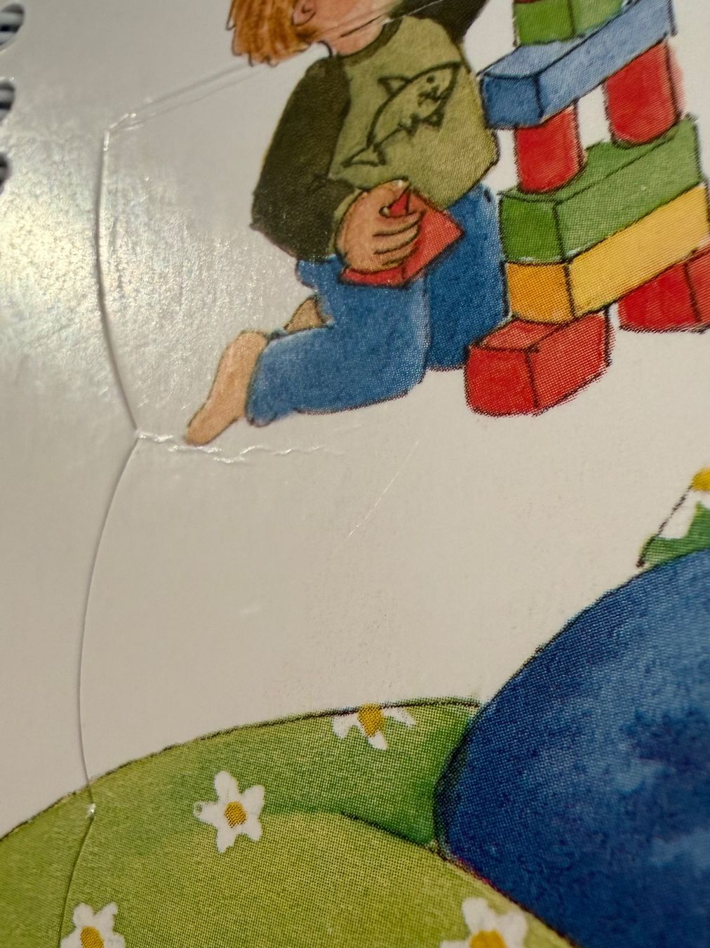 Libri: Wieso Weshalb Warum - Wenn es dunkel wird – Usato da Bubendorf venduto da glitchCat 2