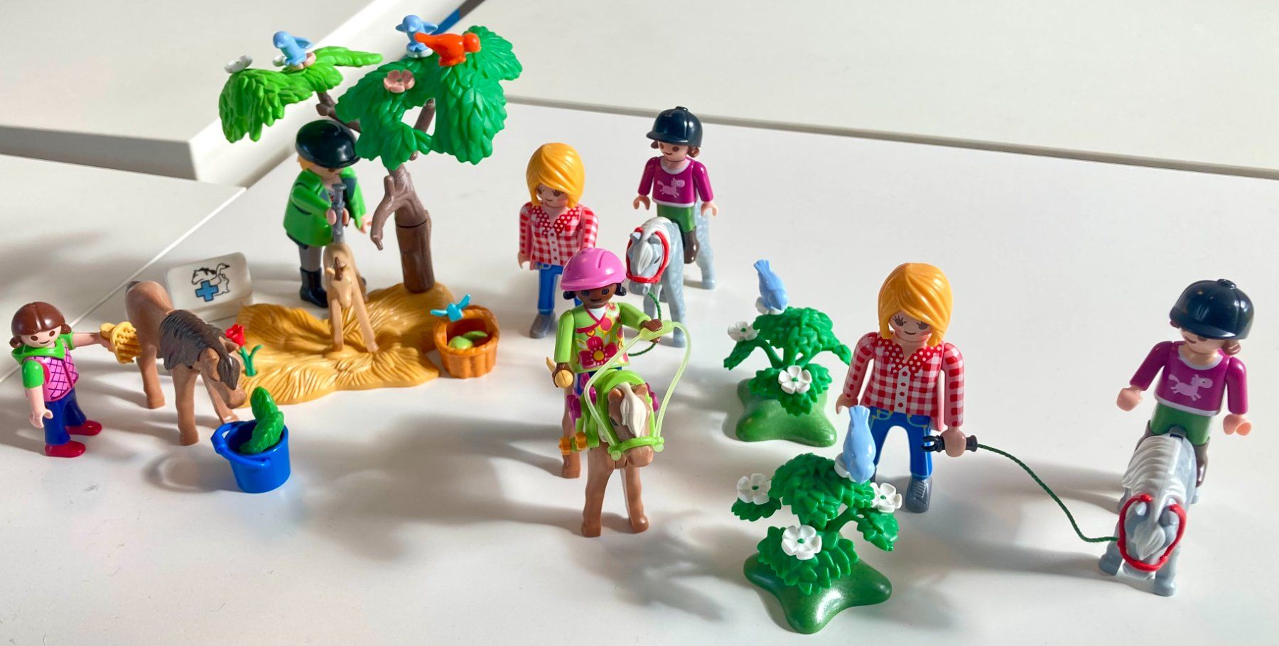 Playmobil Giocattoli: Playmobil grosses Ponyset – Usato da Neuendorf venduto da Knopfi