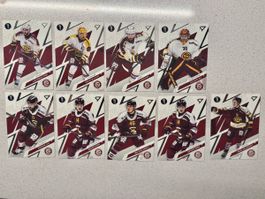 SportZoo Playoffs 2026 Genf Servette komplett