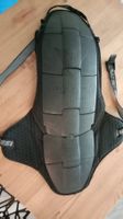 Protection dorsale Dainese H-P-C