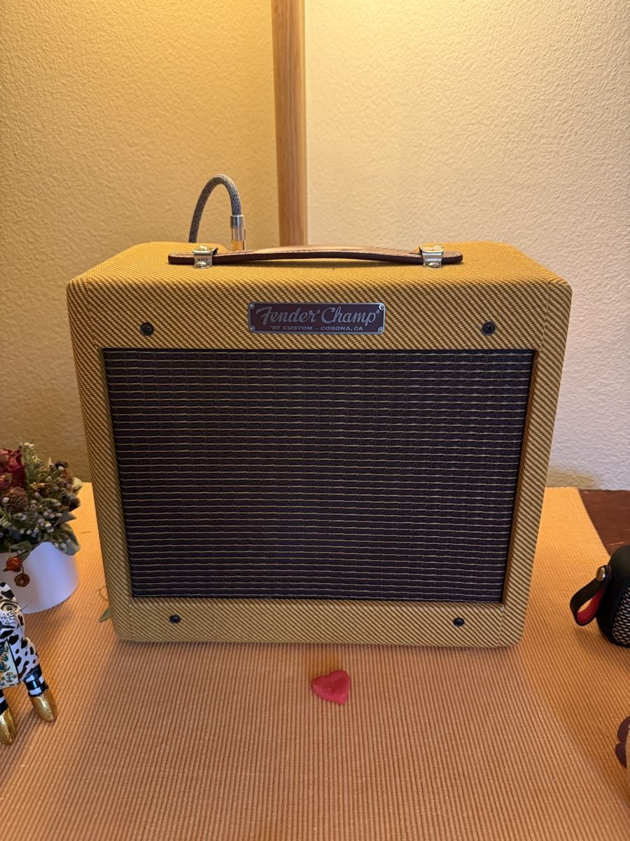Fender Amplificatori: Fender 57 custom champ – Usato da Erlinsbach venduto da jor_7vfm