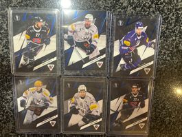 Sportzoo Fribourg Gotteron /60