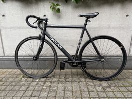Schwarzes Dolan Pre Cursa Fixie velo, super für Stadtfahrten