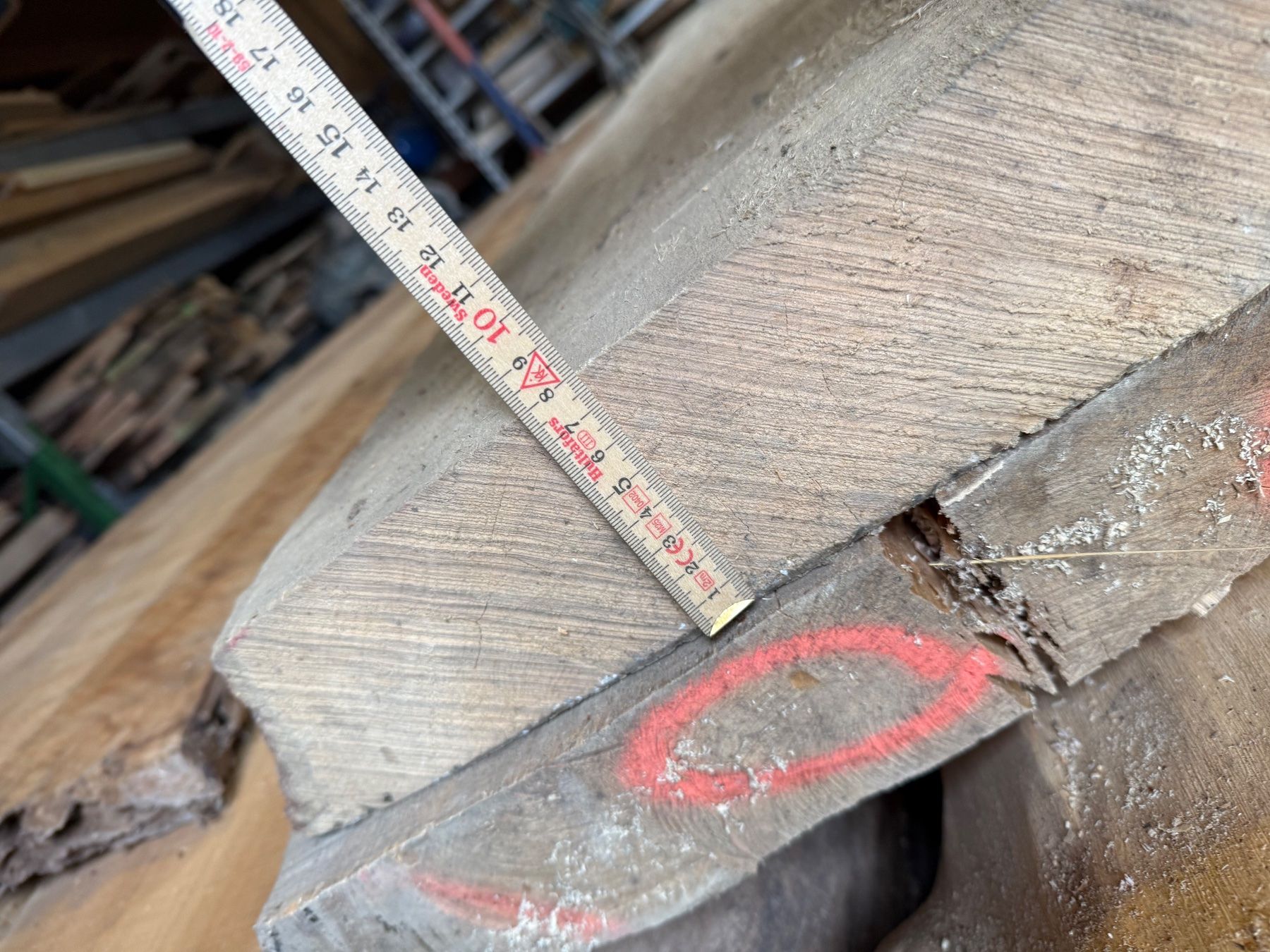 Articoli in legno: Flatterulme Bretter Stamm – Nuovo (secondo la descrizione) da Holziken venduto da Timbergrizzly 4