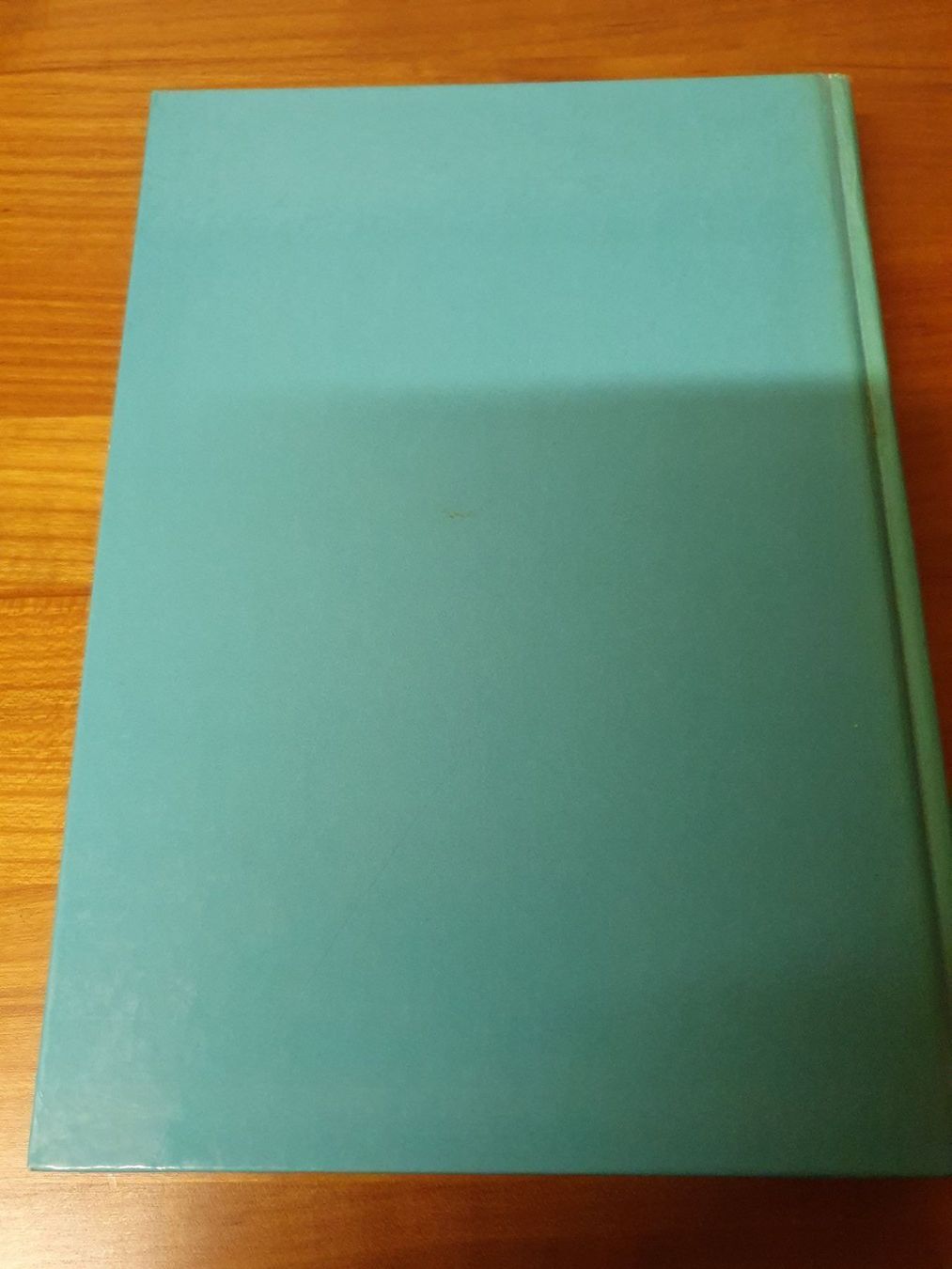 Libri: Marlen Haushofer - Brav sein ist schwer – Usato da Oberdorf BL venduto da BaldenEagle 2