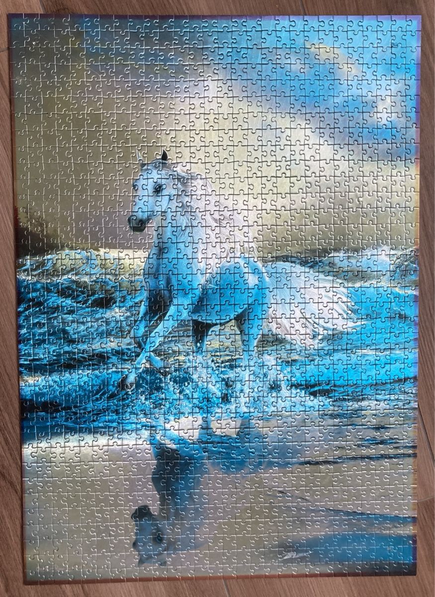 Puzzle: Puzzle Pferd schimmernd 1000 Teile – Usato da Schlierbach venduto da Tinawind35