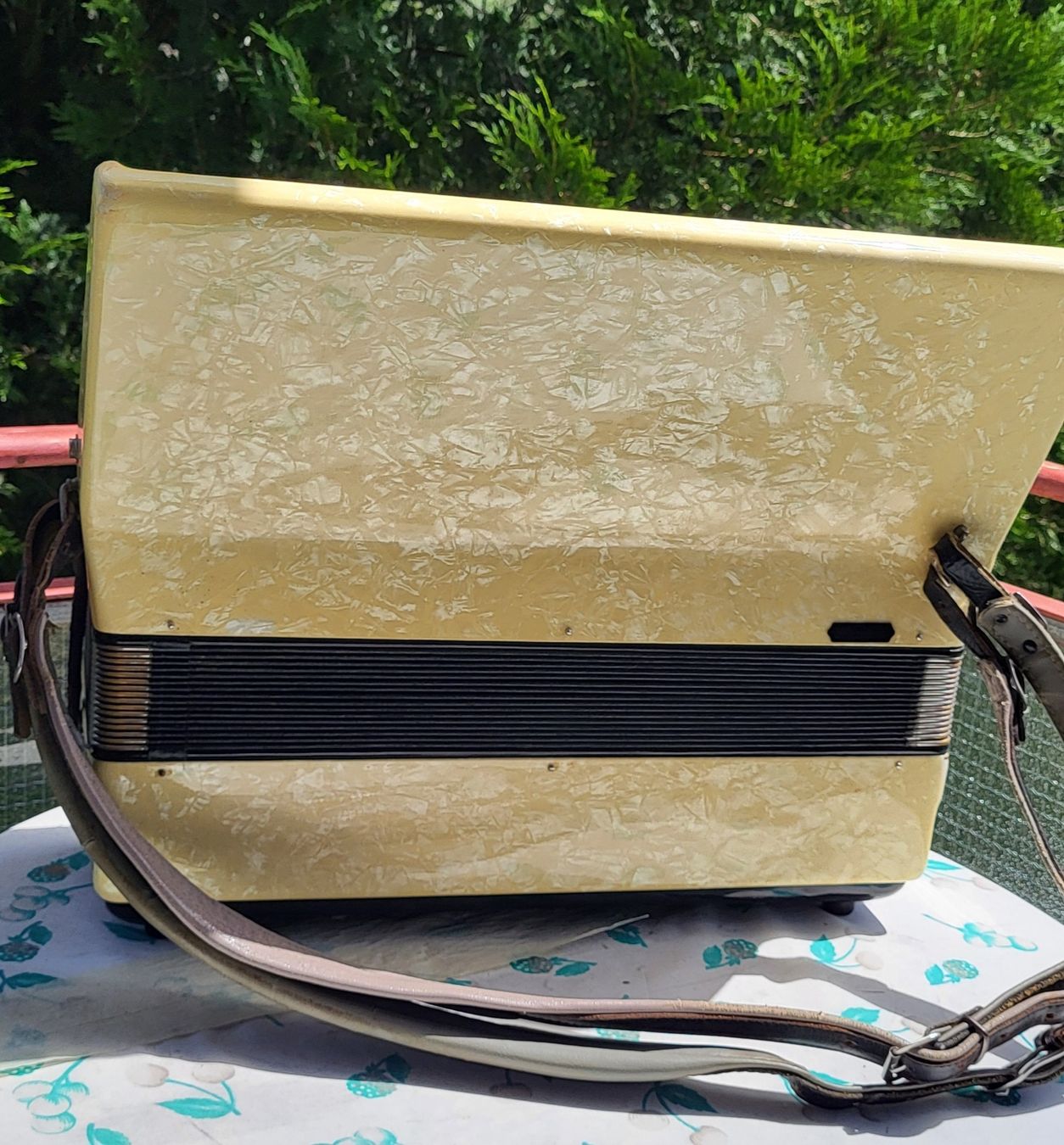 Strumenti musicali: Accordéon Royal standard – Usato da Penthalaz venduto da EvandroLuz 5
