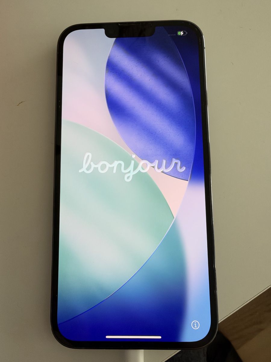 Apple Handys / Smartphones: iPhone 13 Pro Max zu verkaufen – Gebraucht aus Bern von Leilabunny