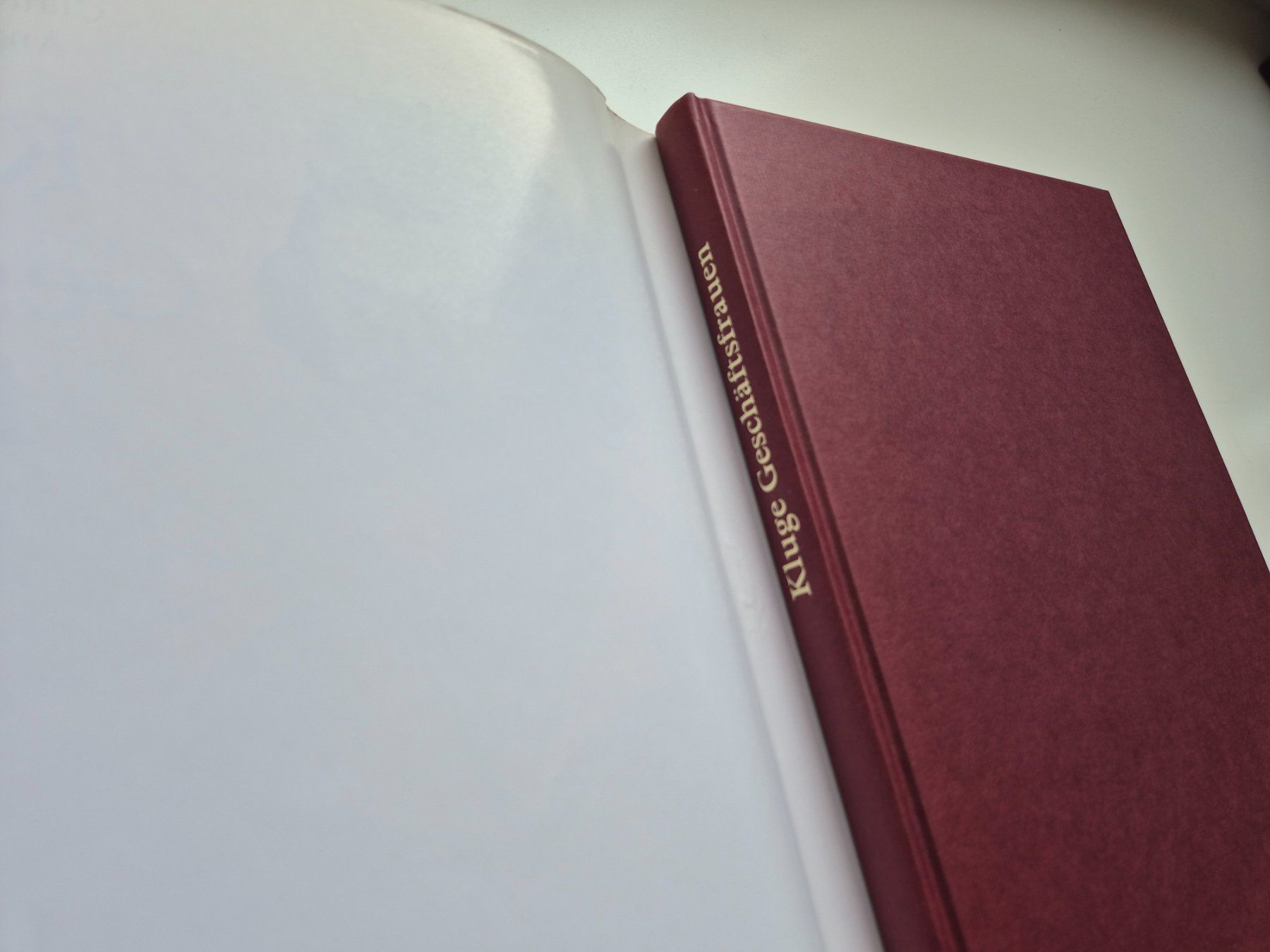 Libri: Kluge Geschäftsfrauen     Lanfranconi / Meiners – Usato da Niederweningen venduto da Obson 1