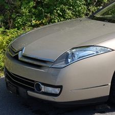 Profile image of Prostias