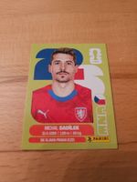Panini WM 2026 CZE 9