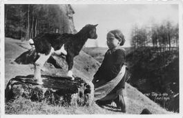 Schweiz Alpenmädchen mit Kalb