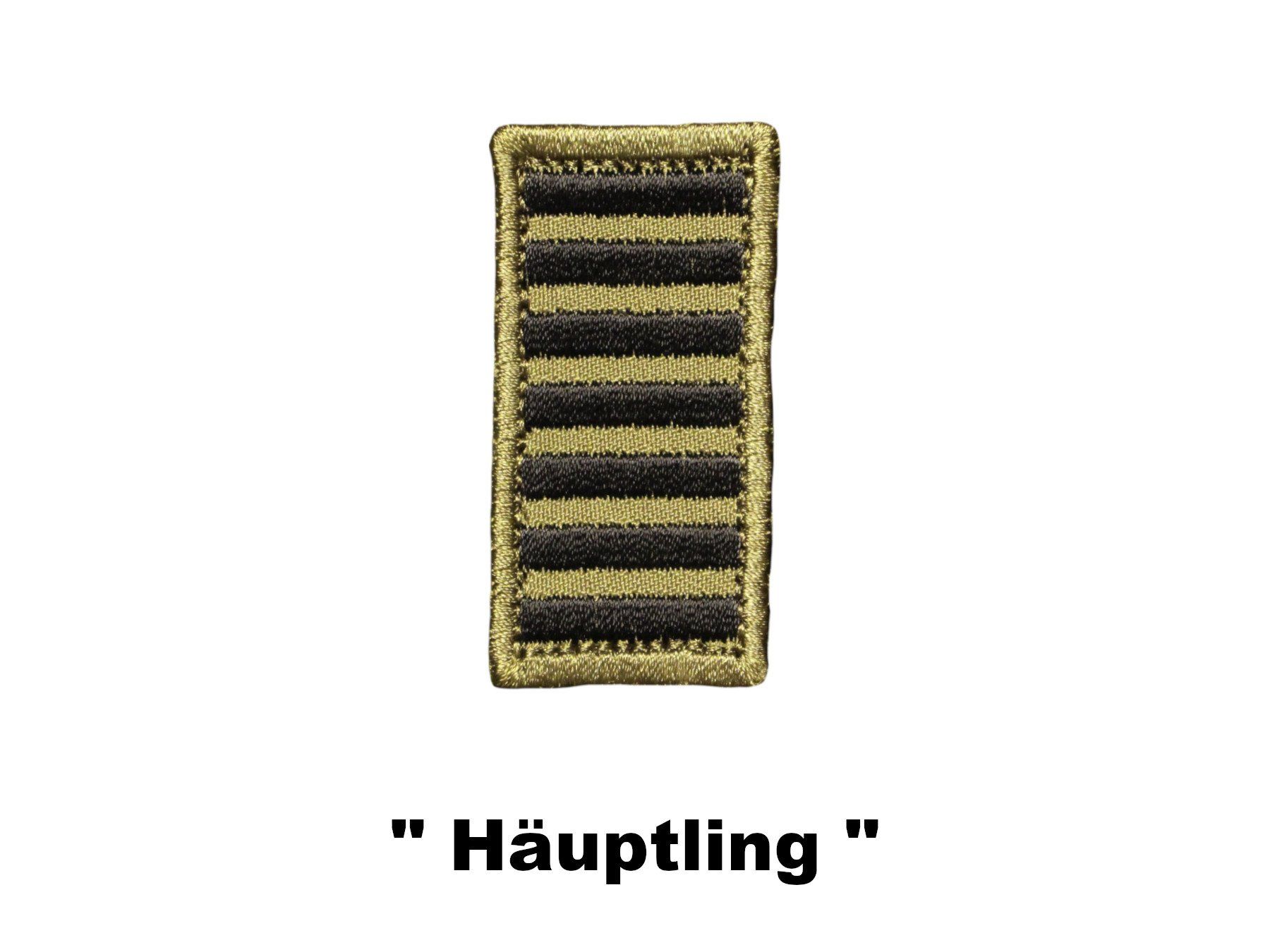 Schweizer Armee Placchette & Badge: Militär Klett-Rangabzeichen – Nuovo (secondo la descrizione) da Winterthur venduto da Dfreudo 5