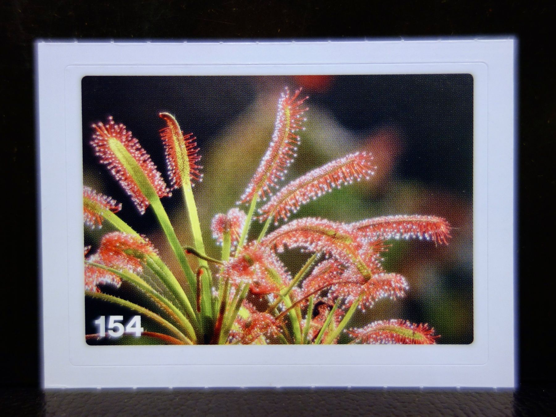 Migros Carte collezionabili: MIGROS MANIA Nature Detectives Nr. 154 – Nuovo e nell'imballaggio originale da Kerzers venduto da djstarsky73