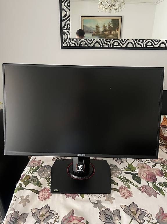 Monitor: Monitor gaming Asus VG258 165hz – Usato da Bellinzona venduto da gil_nml2