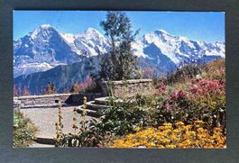 AK Schynige Platte Alpengarten Eiger Mönch Jungfrau