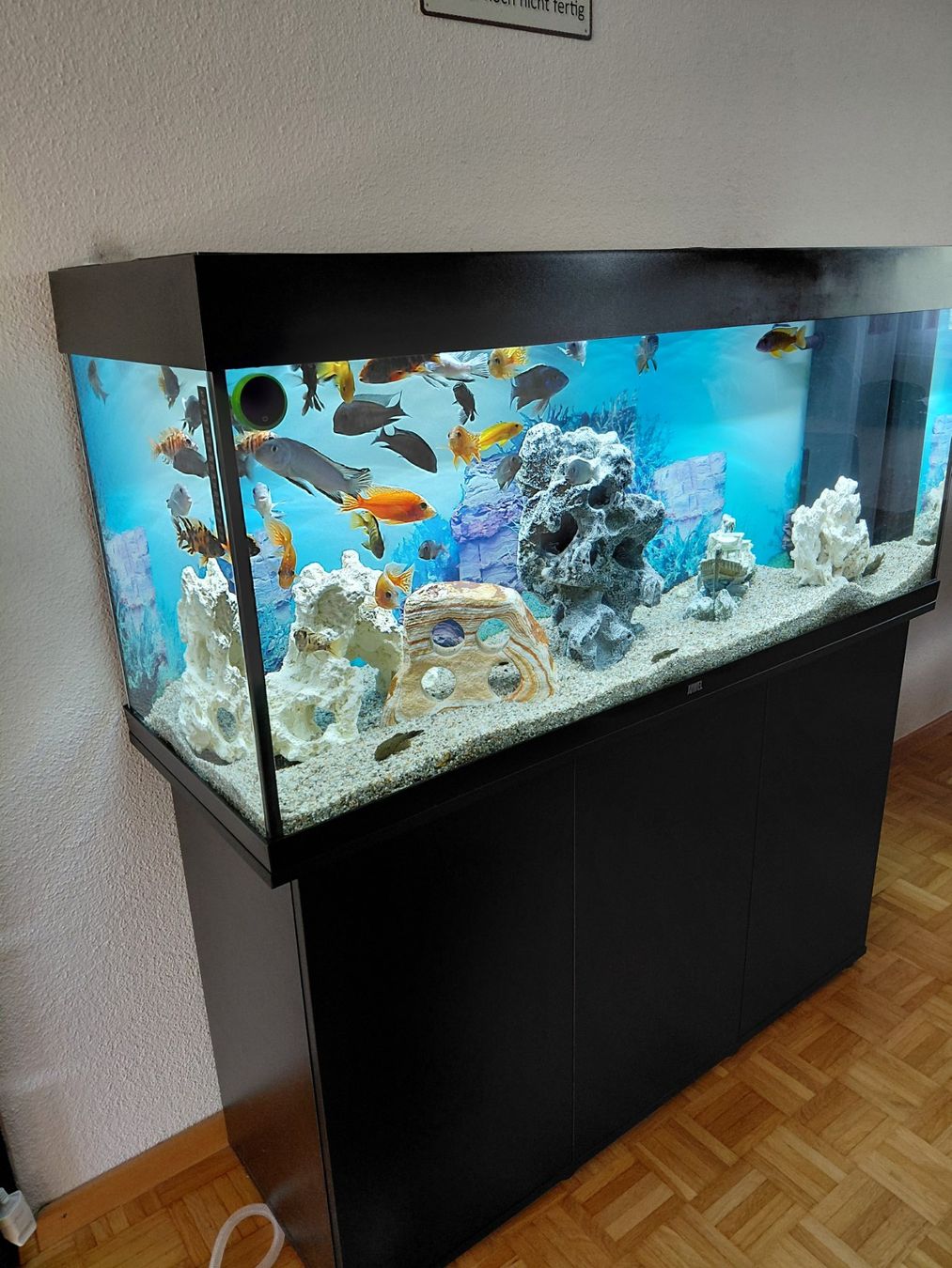 Acquari: AQUARIUM JUWEL 120CM – Usato da Zürich venduto da Grancanaria 1