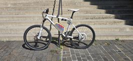 E-Bike Wheeler E-Falcoon 26" with BionX 250w motor