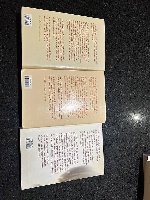 Libri: Dave Pelzer alle 3 Bücher – Usato da Bülach venduto da nick046 1
