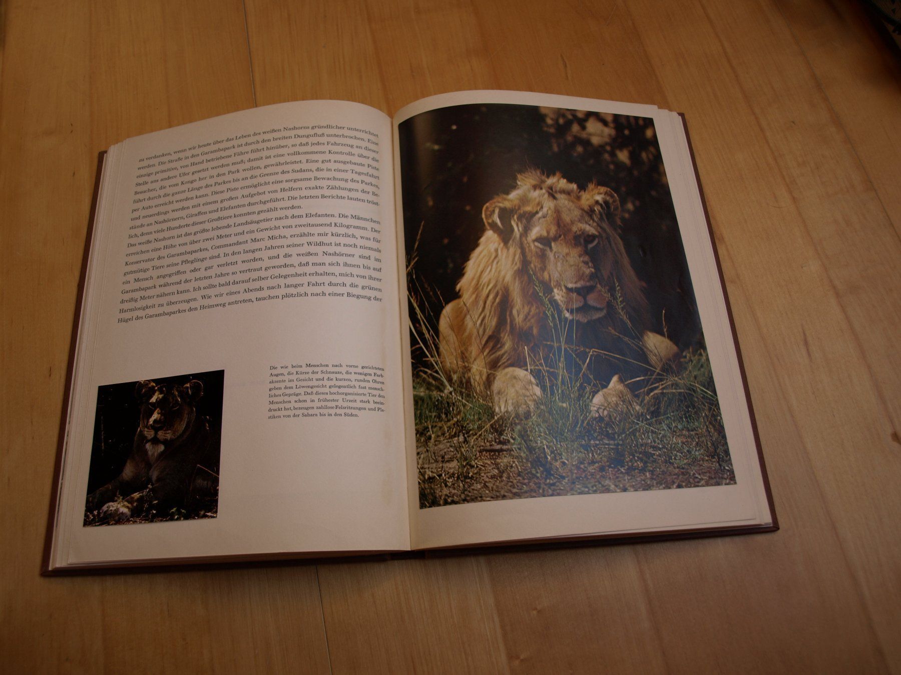 Libri: Wildtiere im Kongo – Usato da Unterkulm venduto da Poncho11 1