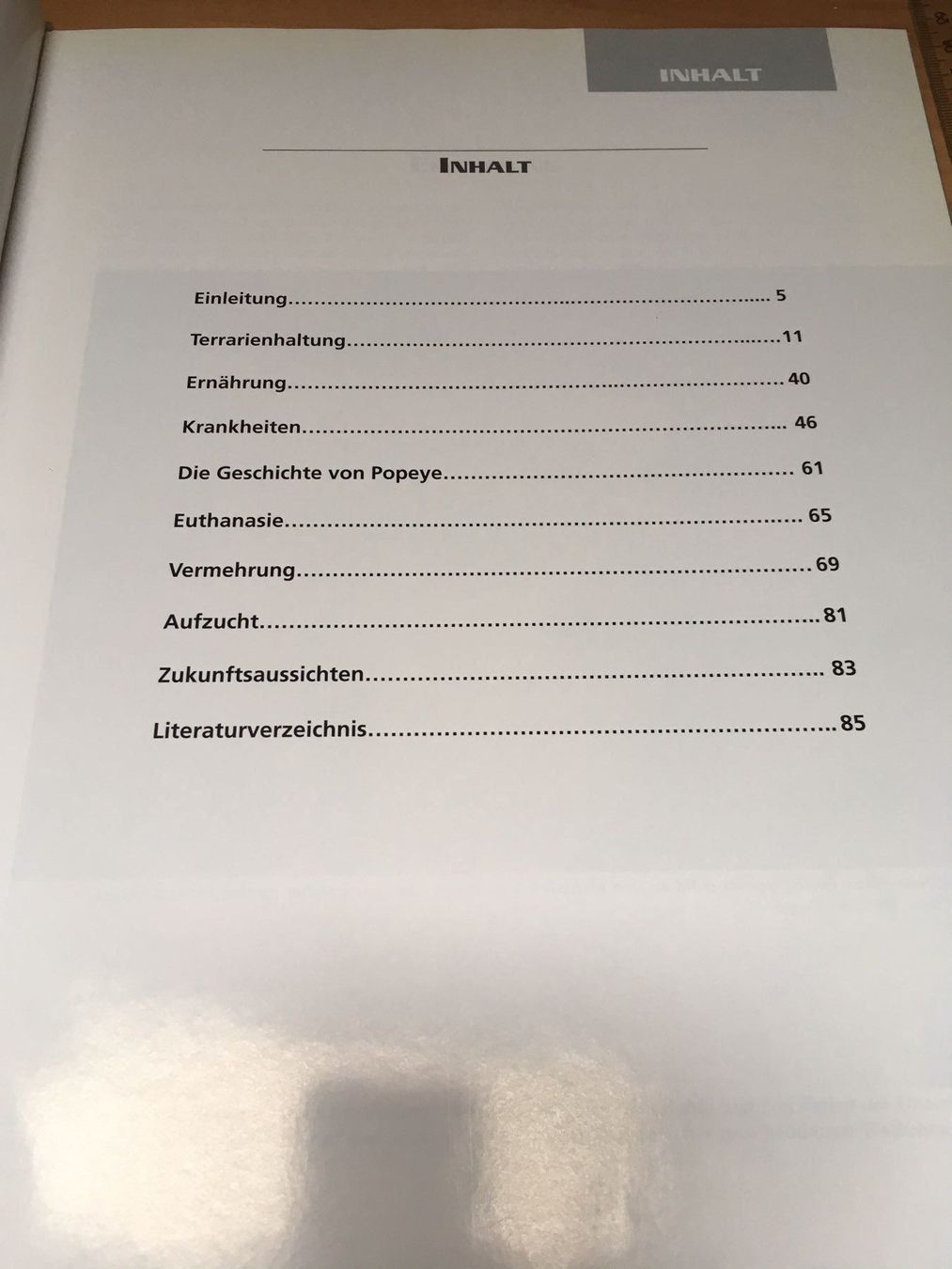 Libri: Super Buch GRÜNE LEGUANE – Usato da Siegershausen venduto da Bubsi83 1
