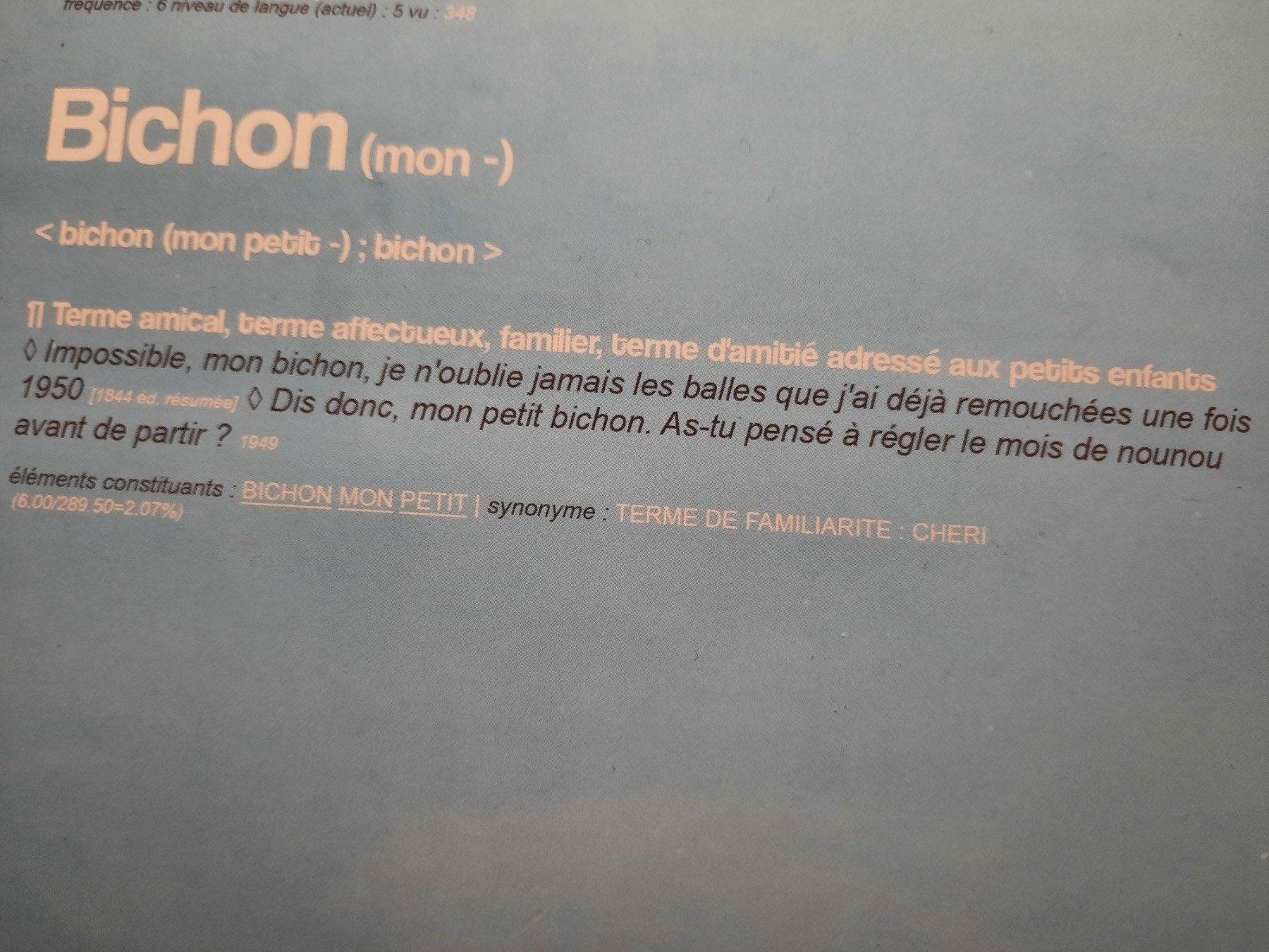 CDs: CD Julien Doré - Bichon – D'occasion à Pully par bro_n52j 2