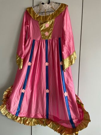 Halloween-Kleid, Fasnachts-Kleid; Burgfräulein mit Schleier