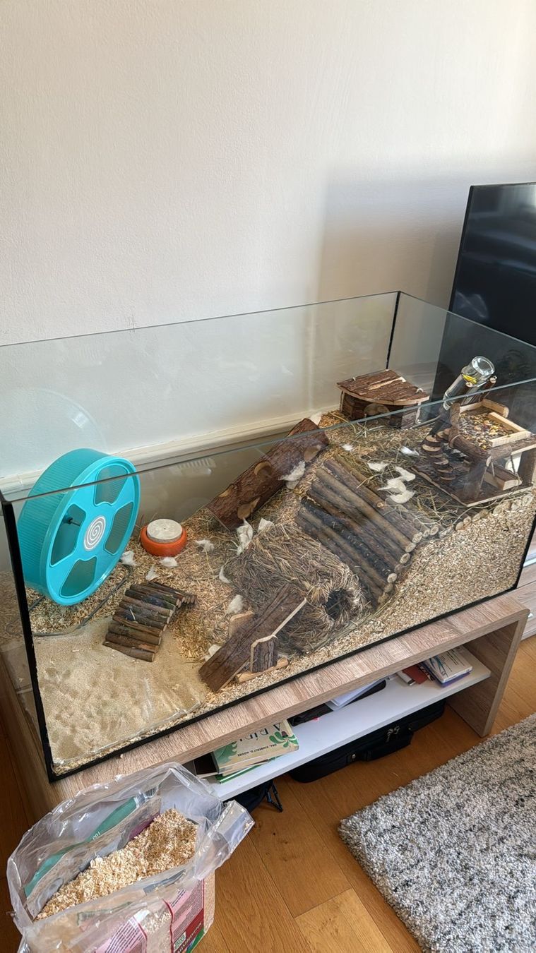 Terrariums: Cage/terrarium hamster – D'occasion à Porrentruy par jac_7zzy 1
