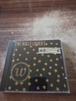 The Wallflowers - Bringing Down The Horse